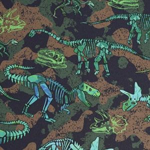 French Terry Stoff mit Dinomuster 'Dinosaurier Experte' 