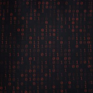 Satin Stoff mit Binärcode in rostrot-schwarz