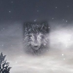 French Terry Stoff Panel mit Wolfsmuster 'Isegrim'